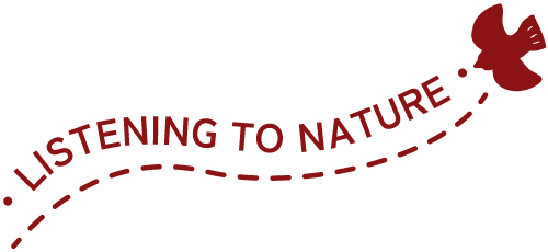 LISTENING TO NATURE